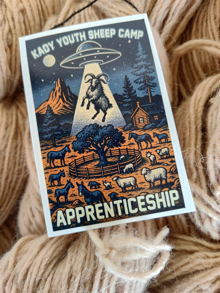 The camp's beam-of-light sticker resting on churro wool